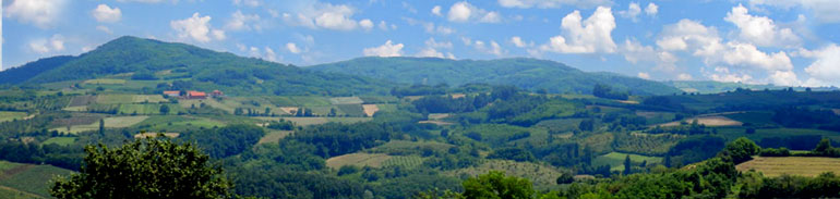 farma zdravlja singa