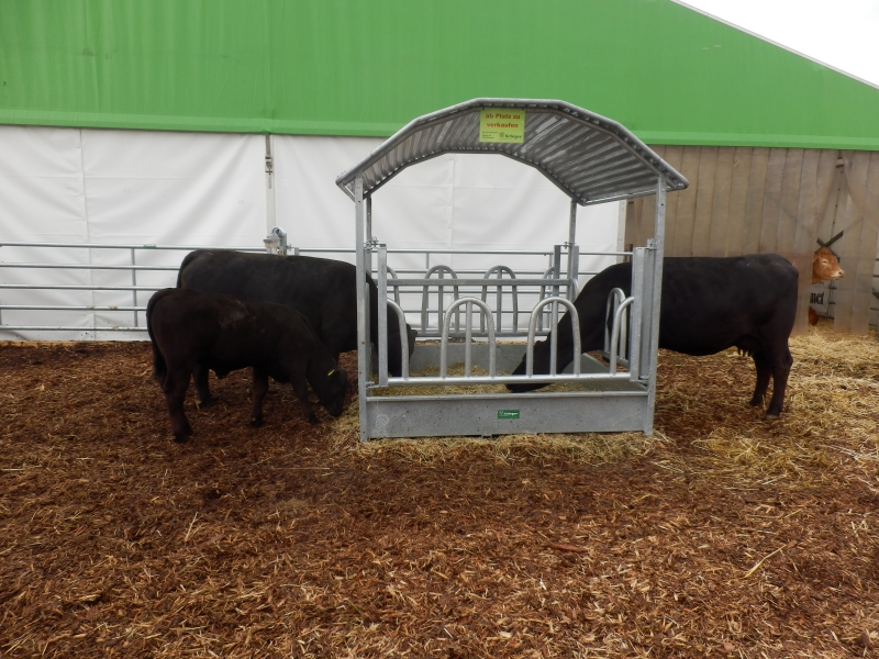 zx_sajam_bern (1).jpg