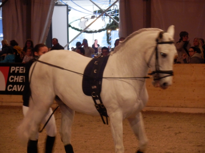 zx_sajam_bern (14).jpg