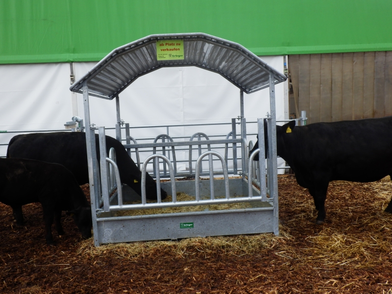 zx_sajam_bern (2).jpg