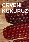 crveni kukuruz prodaja sadnog zrna