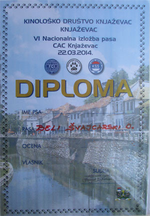 diploma za rasne pse